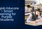 Punjab Educare – Smart Learning for Punjab Students